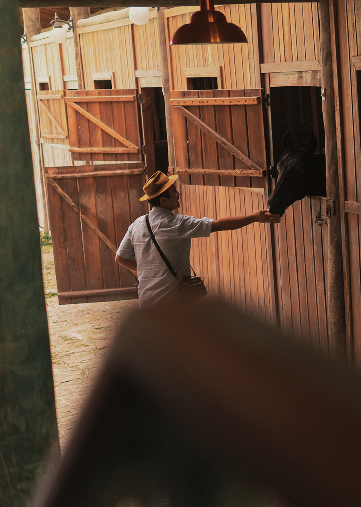 Hóspede acariciando um cavalo na hípica da Reserva