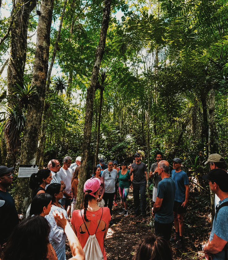 Convidados caminhando por trilha na Mata Atlântica da Reserva
