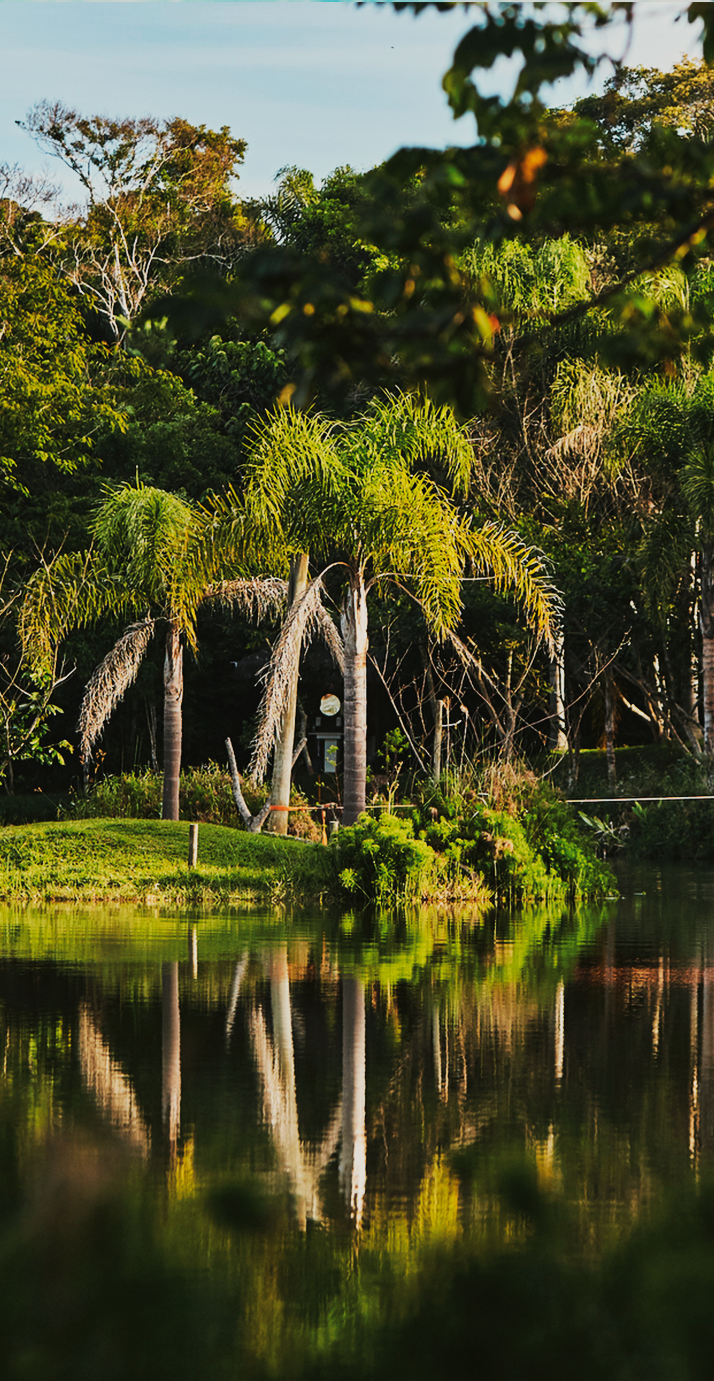 Lago da Reserva