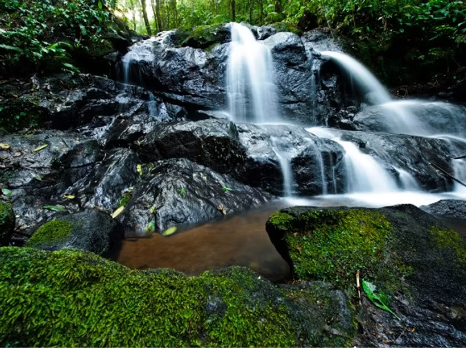Cachoeira cercada de mata na Reserva