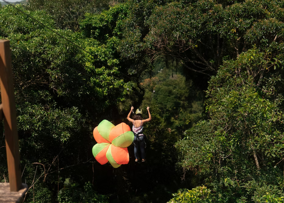 Balões coloridos sobre a Mata Atlântica na tirolesa