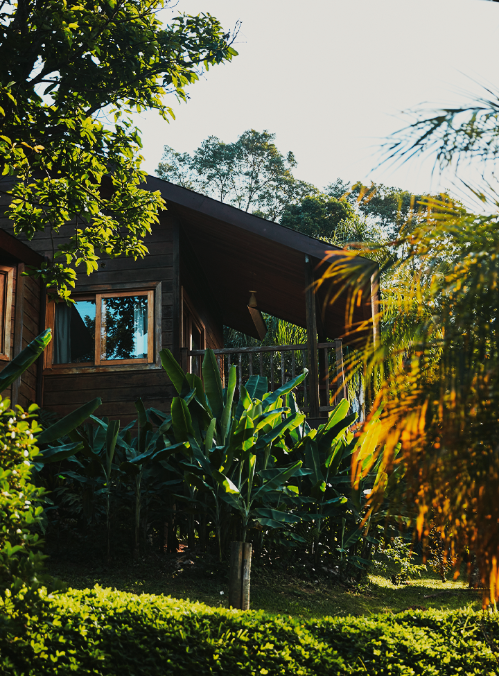 Bangalô ao entardecer entre a vegetação