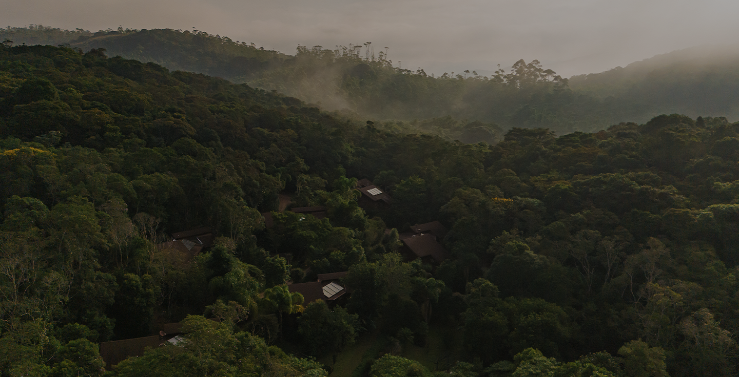 300 hectares de Mata Atlântica ao redor da Reserva